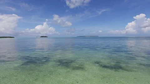 BEACH CORALS Stock Footage 130511548