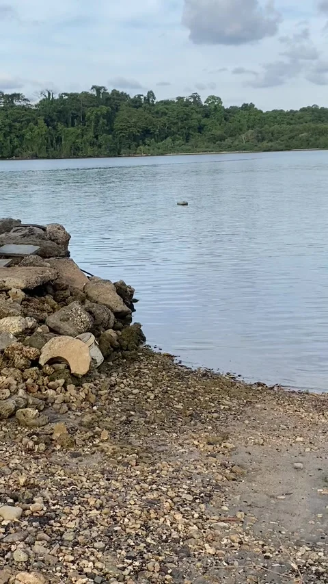 Beach Cove Stock Footage 254229535