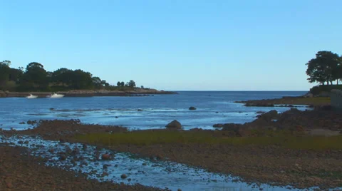 Beach in Cove Loop Stock Footage 38765179