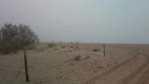 Beach covered by fog Stock Footage 159987231