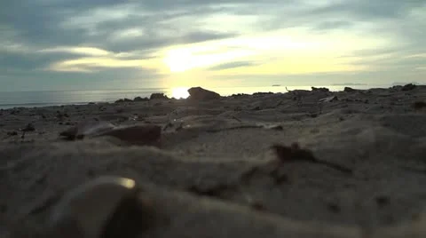Beach Crab on the beach Stock-Footage 10827758