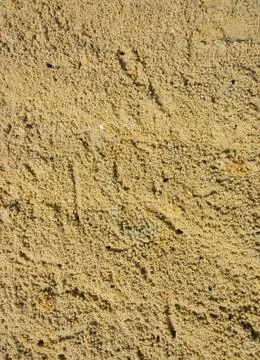 Beach crab markings Stock Photos