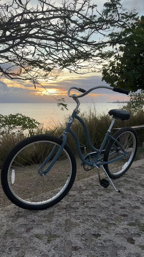Beach Cruiser Bicycle at Caribbean Sunset, Barbados Stock-Footage 337069247