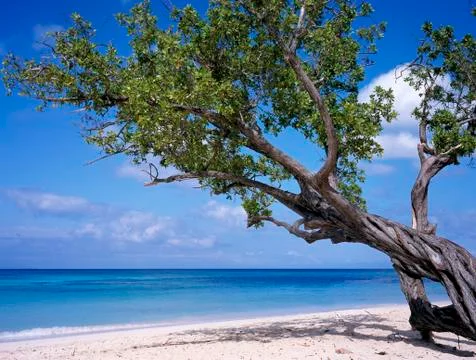 Beach at Cuba Foto stock