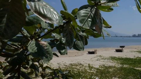 Beach in Da Nang Stock Footage 101728847