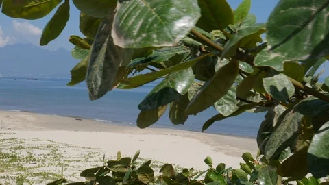 Beach in Da Nang Stock Footage 101728863