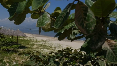 Beach in Da Nang Stock Footage 101729266