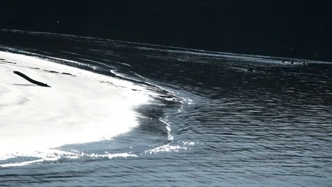 Beach at the danube river in abwinden Video stock 304730033