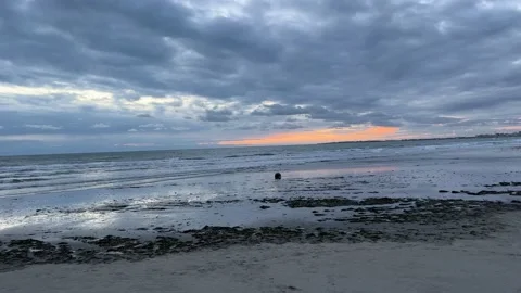 Beach with dawn clouds appears behind plants Stock Footage 225937859