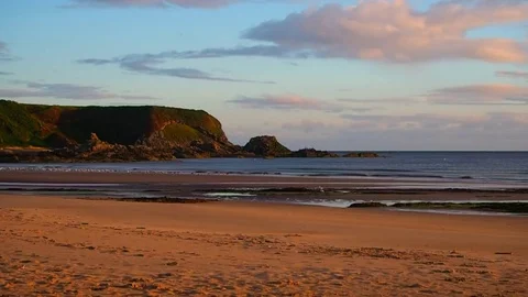 Beach at dawn Stock Footage 82662021