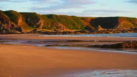 Beach at dawn 库存影片 82662437