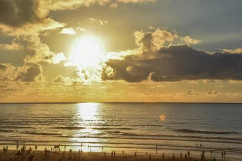 Beach at Dawn 写真素材