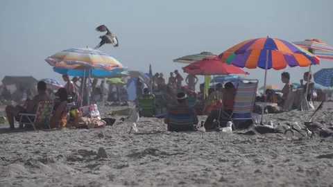 Beach day commotion, in slow motion. Stock Footage 93592278