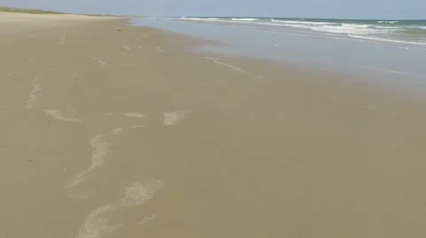 Beach day Stock Footage 54074954