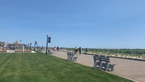 Beach Day Video stock 111200400