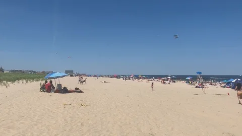 Beach Day Video stock 111200430