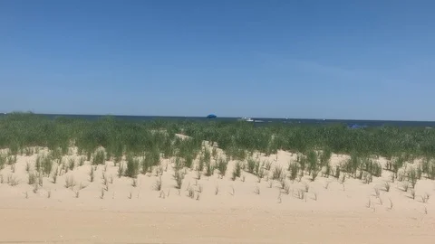 Beach Day Video stock 111200431