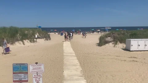 Beach Day Video stock 111200434