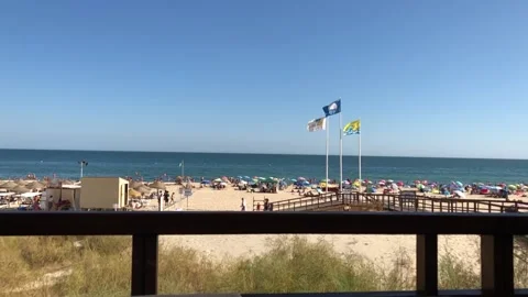 Beach day Stock Footage 140758785