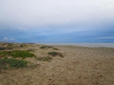 Beach Days Stock Photos