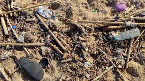 Beach with debris after the storm. Video stock 329482459