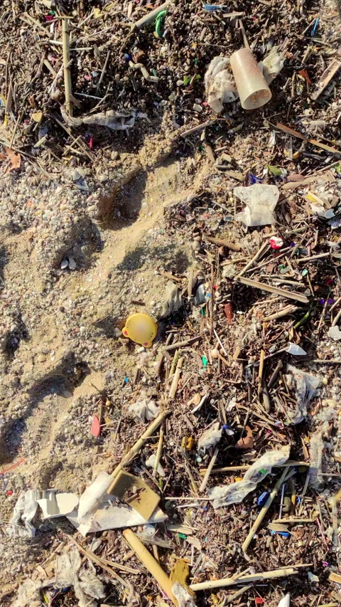 Beach with debris after the storm. Vertical format. Video stock 329504784