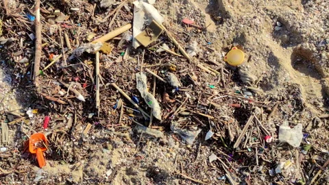 Beach with debris after the storm. Vertical format. Video stock 329507155