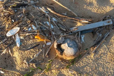 Beach Debris and Plastic Pollution on Phu Quoc Shoreline 스톡 사진