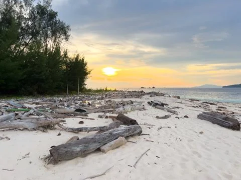 Beach Debris at Sunset 스톡 사진