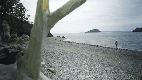 Beach at Deception Pass Bridge State Park Washington Stock Footage 73527006
