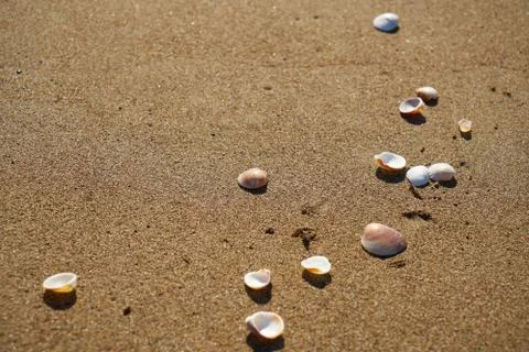 Beach detail background Stock Photos