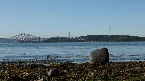 Beach dolly shot Video stock 101313750