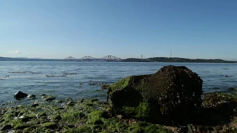 Beach dolly shot 스톡 동영상 101313759