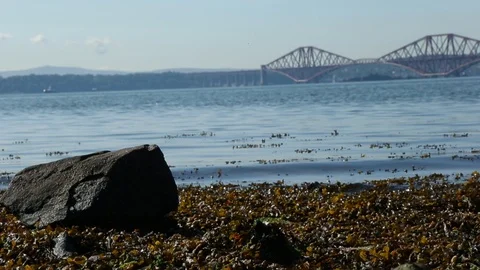 Beach dolly shot Video stock 101313768