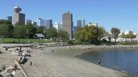 Beach in downtown Vancouver. 库存影片 74716712