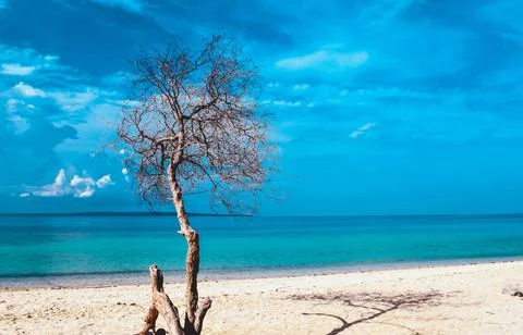 Beach with a dramatic and beautiful sky Stock Photos