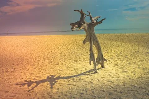 Beach with a dramatic and beautiful sky Stock Photos
