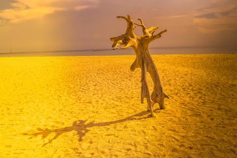 Beach with a dramatic and beautiful sky Foto stock