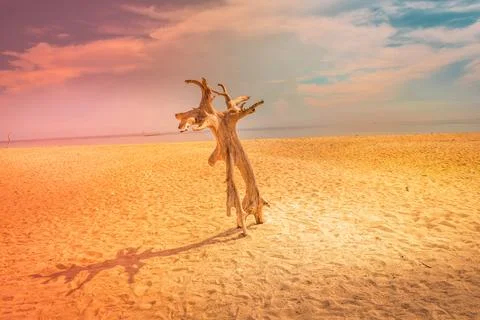 Beach with a dramatic and beautiful sky Stock Photos