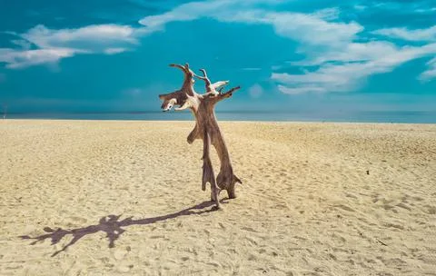 Beach with a dramatic and beautiful sky Stock Photos