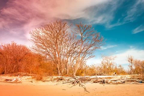 Beach with a dramatic and beautiful sky Stock Photos