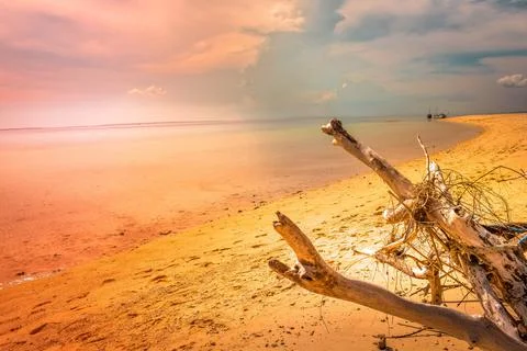 Beach with a dramatic and beautiful sky Stock Photos