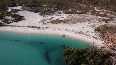 Beach driftwod Stock Footage 96220308