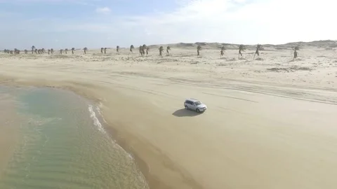 Beach Drone BR FOR 16 DJI 0004 A Stock Footage 139915695