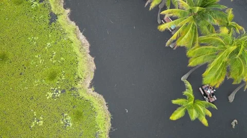 Beach Drone Shots Stock Footage 242538630