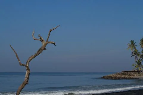 From the beach with a dry tree in the foreground Stock Photos