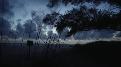 Beach Dune at Dusk Stock Footage 39489606