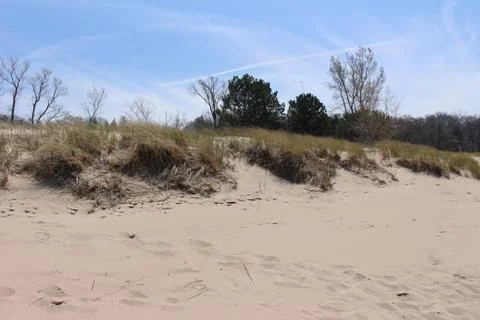 Beach with Dune Grass Stock Photos