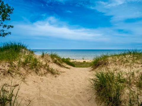 Beach Dune Stockfoto's