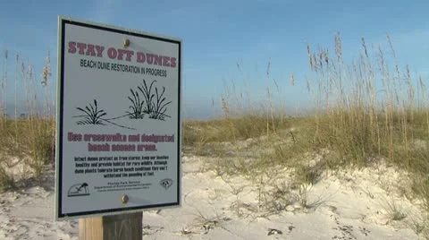 Beach Dune Restoration 動画素材 10588433